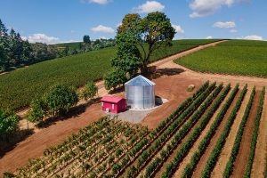 Water-Storage-Tanks-Inc_Blog-Image_Archery-Summit_CorGal_Fire-Protection-Tank_JPG_1200x800 Image of an NFPA 1142 fire protection tank safeguarding a vineyard in Oregon. Image is the intellectual property of Water Storage Tanks, Inc. and is subject to copyright.