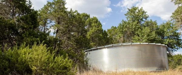 Camp Lucy Webp Camp Lucy Webp